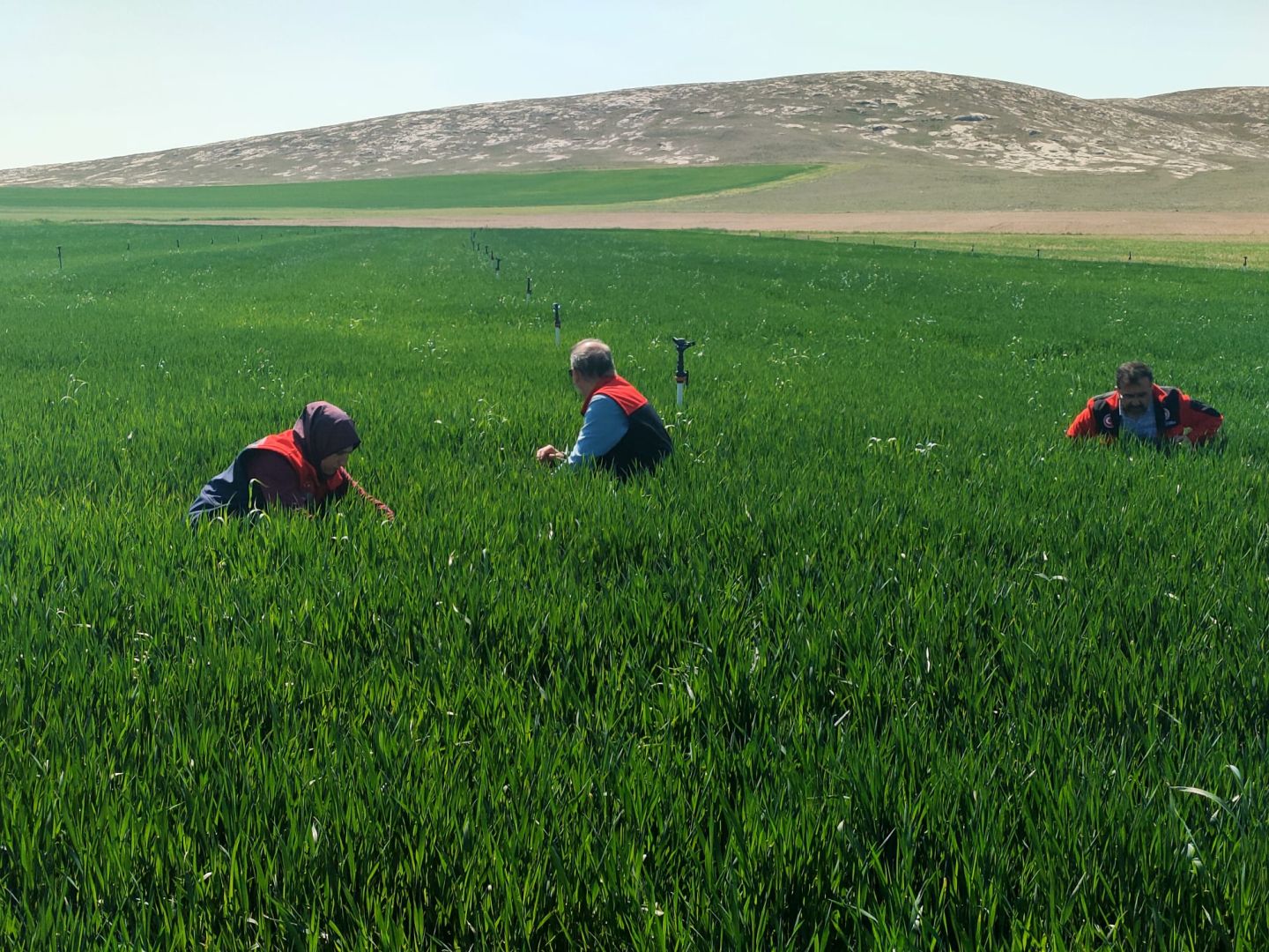 KARATAY’DA TARIMSAL ÜRETİM İÇİN SAHADA DENETİMi