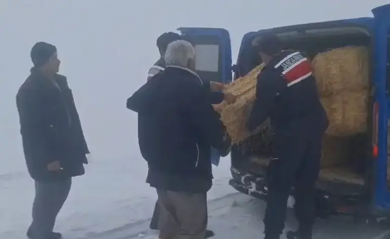 KARDA MAHSUR KALAN HAYVANLARA JANDARMADAN DESTEK